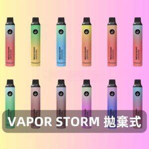 Vapor Storm風暴5000口拋棄式電子煙｜發光款一次性電子菸｜13種口味｜10ml大容量